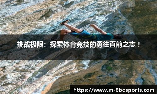 8博体育官网