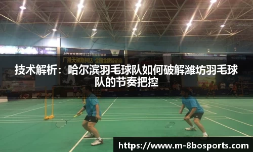 8博体育平台